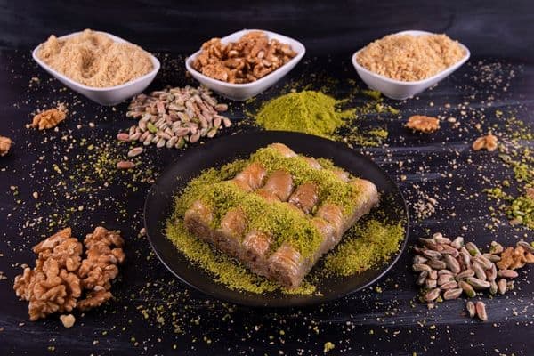 מנות האוכל המושלמות לכלבי גור