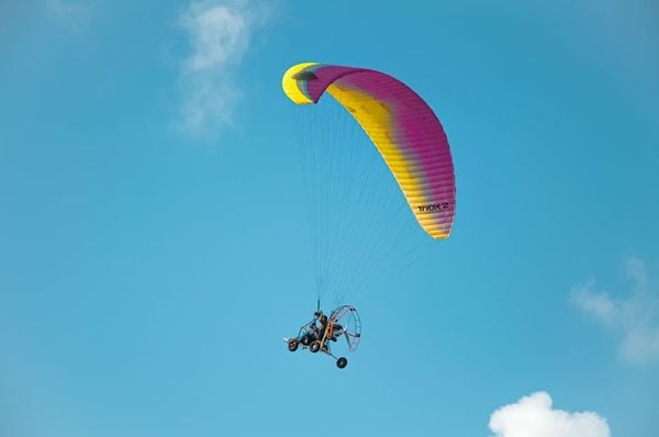 מומחה לעולם הסנאי המעופף