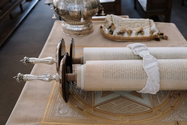משקף התורה: בחינת הבשר הטרף