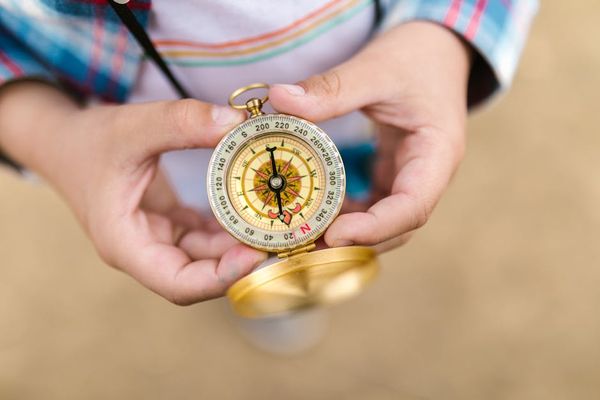 נינג'ה גריל: מדריך מקצועי לפשירת בשר